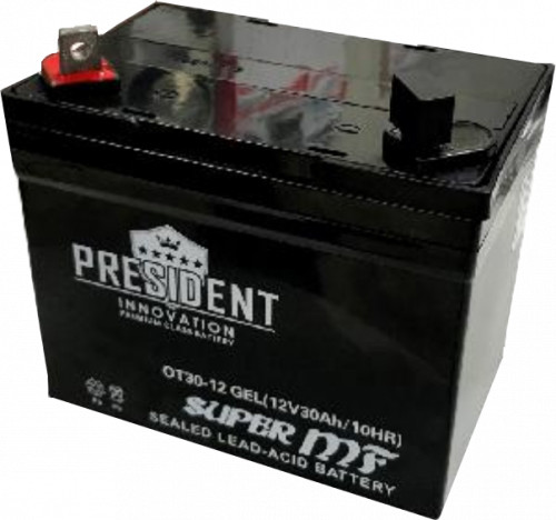 Аккумулятор President (12V 30Ah) (OT30-12) IGEL