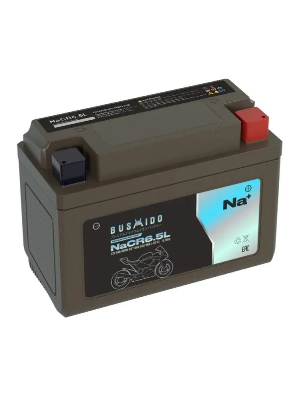 Аккумулятор Bushido NaCR6,5L 5Ач 90А (YB6,5L-BS)