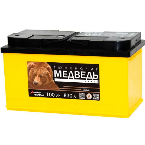 Аккумулятор ТЮМЕНСКИЙ МЕДВЕДЬ 6СТ-100 (П.П.) 830А